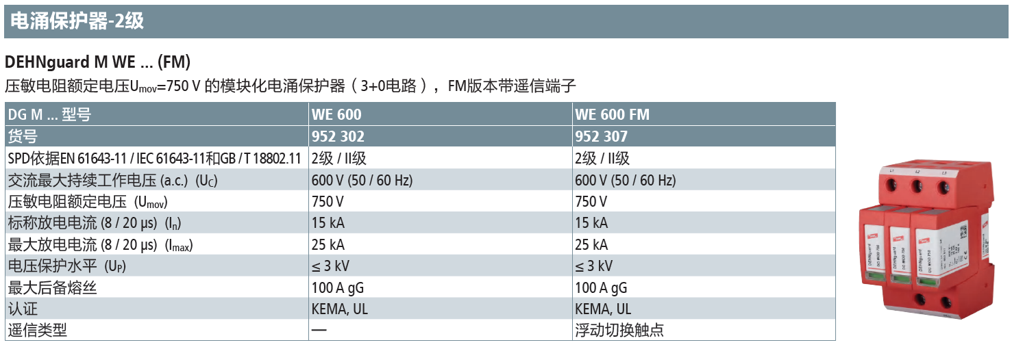 DG M WE 600(952 302)，DG M WE 600 FM(952 307)